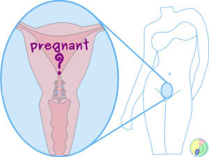 signs of pregnancy