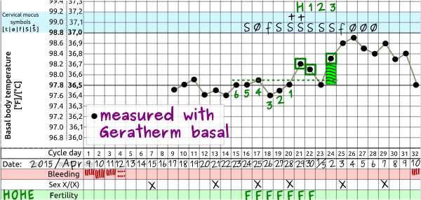 measured with Geratherm basal-cycle_4
