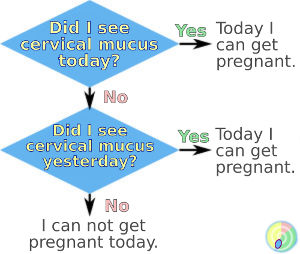 two days method - get pregnant