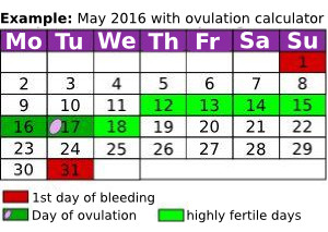 ovulation and due date calculator