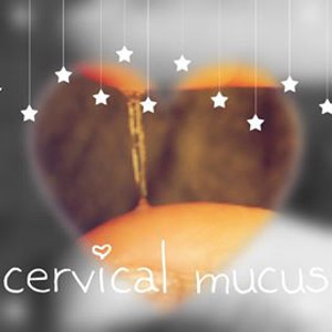 cervical mucus interpretation