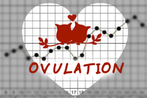 Ovulation Basal Temperature