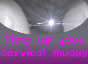 Improve Cervical Mucus