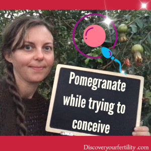 pomegranate to boost fertility © fertility-tv.com
