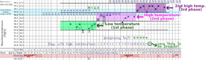 temperature curve after implantation